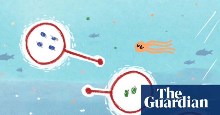 Where microplastics are going on holiday this year: the stephen collins cartoon
