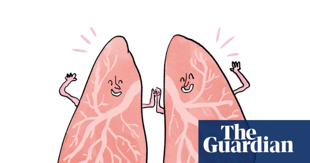 Is it true that … your lungs regenerate when you quit smoking? | health & wellbeing Is it true that … your lungs regenerate when you quit smoking? | health & wellbeing