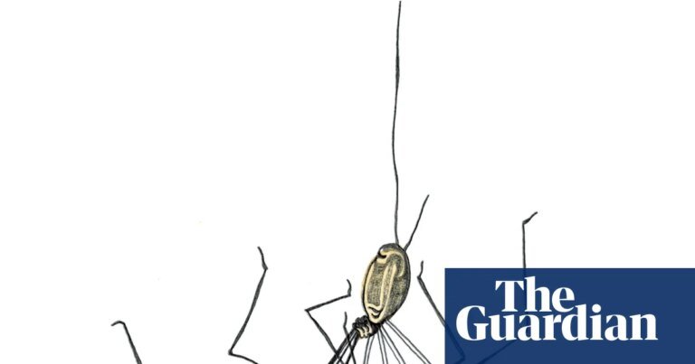 Is there a mummy longlegs and how do cobras get their fangs? The kids’ quiz | family