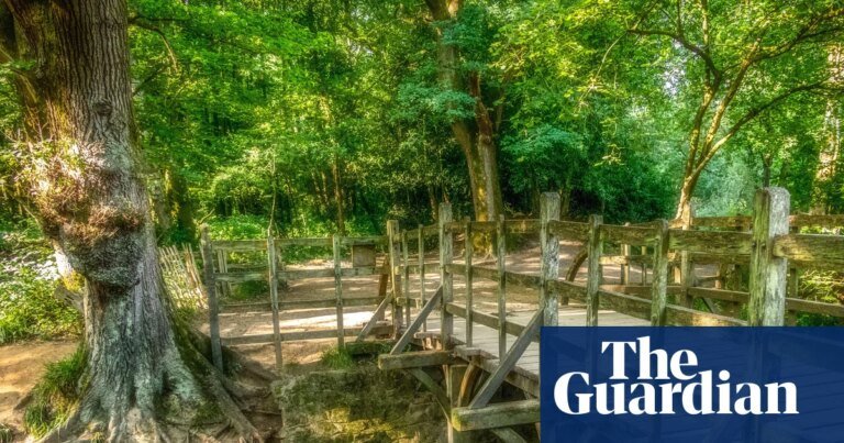 Winnie-the-pooh’s 100th birthday is a great excuse to explore the sussex forest that inspired the books | sussex holidays