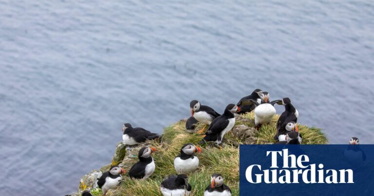 ‘a kaleidoscope of colour and life’: readers’ favourite uk spring days out | united kingdom holidays