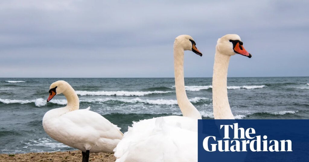 Three’s a crowd: what to do when you hate your friend’s partner | friendship Three’s a crowd: what to do when you hate your friend’s partner | friendship