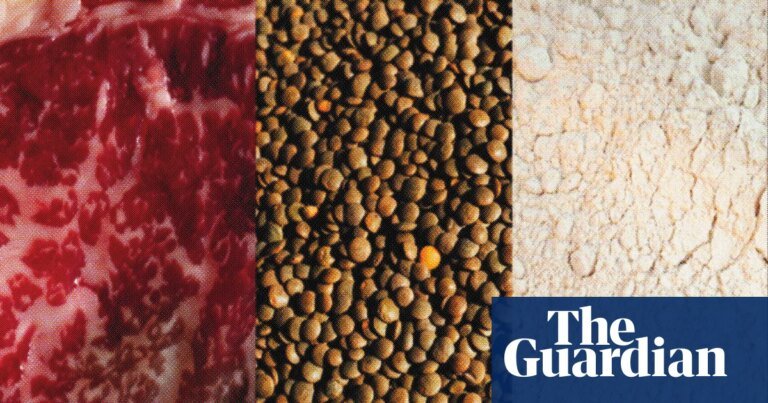 ‘people should aim to get a variety’: the pros and cons of popular protein sources | well actually