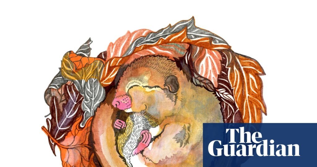 Why does nature sleep in winter and when did life first appear? The kids’ quiz | family Why does nature sleep in winter and when did life first appear? The kids’ quiz | family