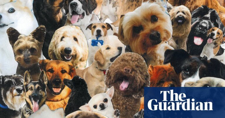 ‘she compared her dachshund to my newborn baby’: should you be able to take your dog everywhere? | dogs