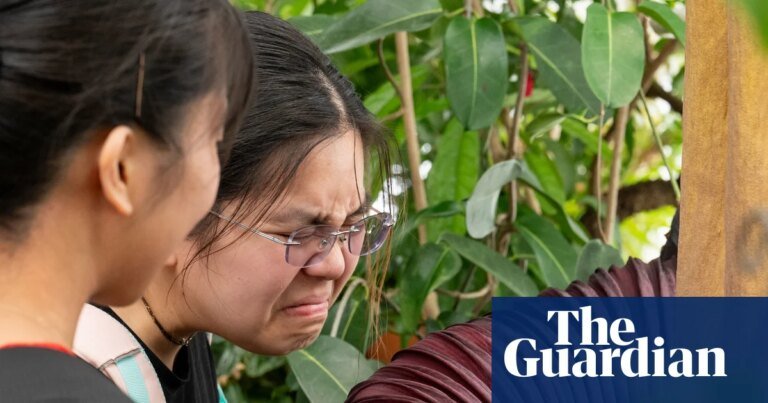 Readers reply: the missouri tofu spill was ‘unforgettable’ – but what are history’s greatest bad smells? | life and style