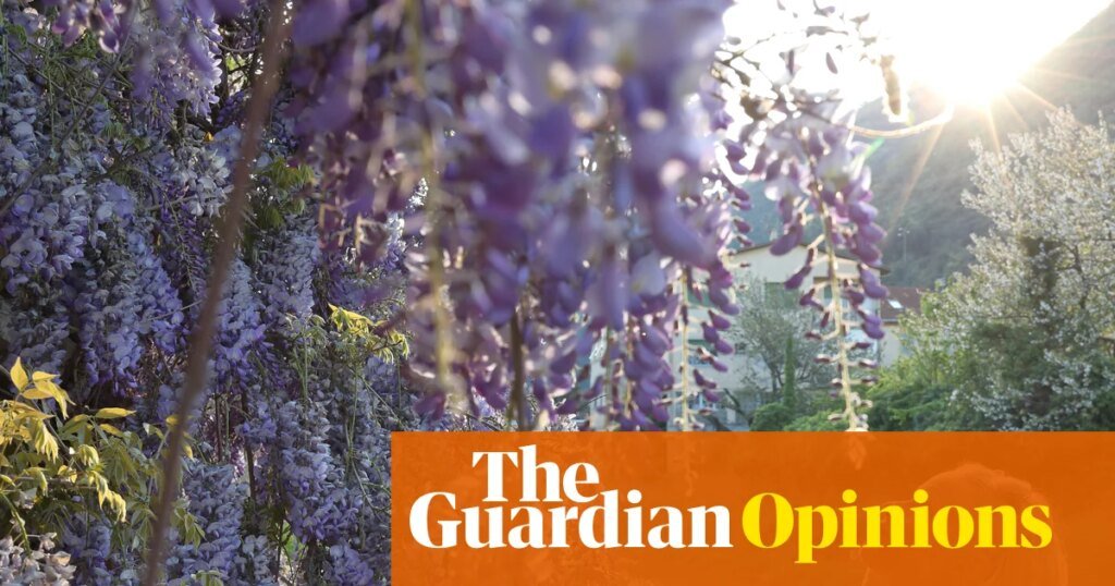 Stopping to admire wisteria and taking pride in your laundry? Join me in the land of grownups | polly hudson Stopping to admire wisteria and taking pride in your laundry? Join me in the land of grownups | polly hudson