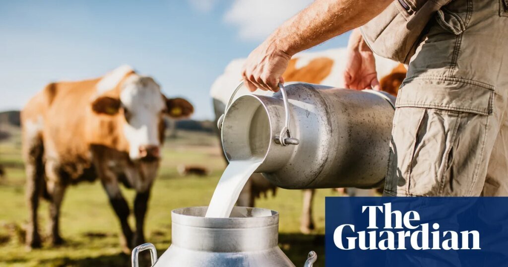 Making a splash: demand for raw and ‘brewed’ milk growing in uk | milk Making a splash: demand for raw and ‘brewed’ milk growing in uk | milk