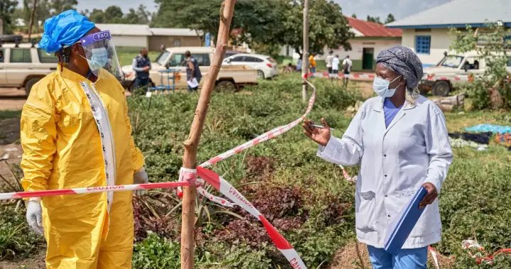 Ebola epidemic scale ‘much larger’ than known cases, who head says - national