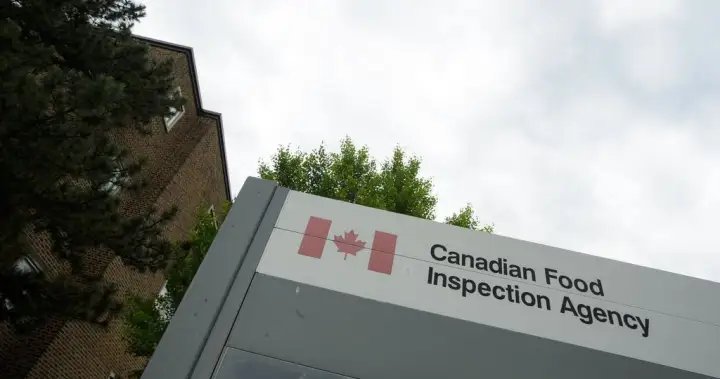 Cfia warns of u. S. Outbreaks of pseudorabies in commercial swine - national Cfia warns of u. S. Outbreaks of pseudorabies in commercial swine - national