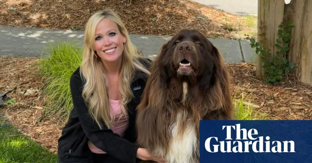The pet i’ll never forget: chewy the dog, who loves gardening – and saving lives | dogs The pet i’ll never forget: chewy the dog, who loves gardening – and saving lives | dogs