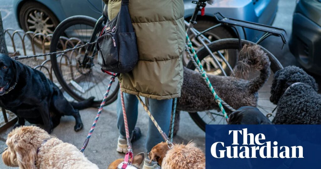 Party poopers: new yorkers sniff at pet owners leaving behind animal waste | new york Party poopers: new yorkers sniff at pet owners leaving behind animal waste | new york