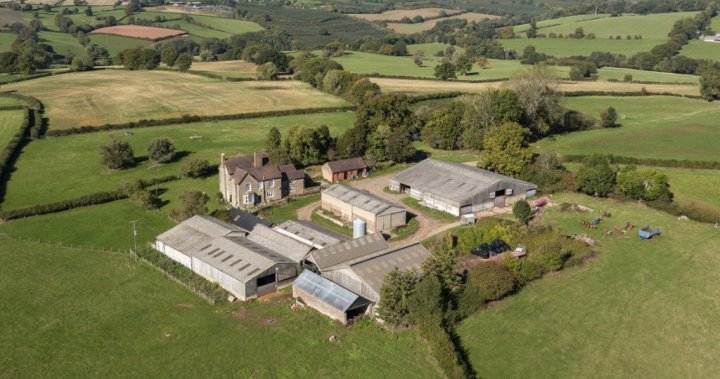 Prince william puts royal 600-acre english farm up for sale - national Prince william farm for sale england