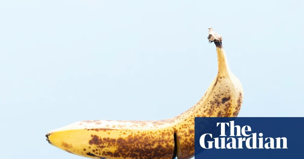 Snip happy: five men on their choice to get a vasectomy | contraception and family planning Snip happy: five men on their choice to get a vasectomy | contraception and family planning